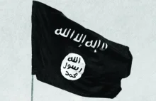 Rozprzestrzeniająca się fala bojowników: ISIS szkoli już dżihadystów w Bośni!