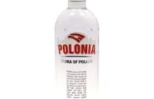 Wódka Polonia- kupować czy nie?