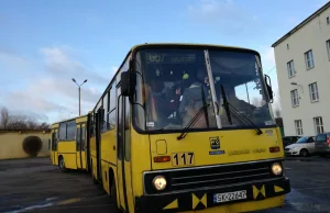 Katowice żegnają ikarusy. 16 autobusów trafi na licytację. Cena 6 tys. zł.