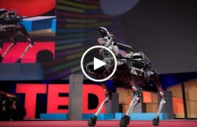Spot, robot-pies, który biega, skacze i otwiera drzwi