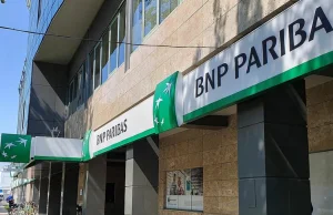 BNP Paribas posadzi drzewo za każdy nowy rachunek osobisty. Pomaga też...