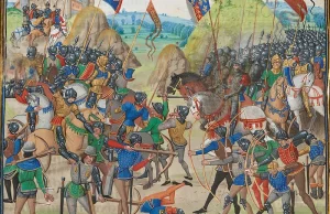 Obraz wojny domowej w Wielkopolsce w latach 1382-1385