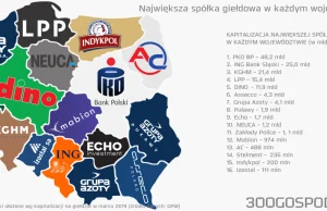 Największa spółka giełdowa w każdym województwie [MAPA DNIA]