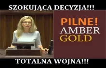 Komisja ds Amber Gold M Wassermann obnaża pracę prokuratorów