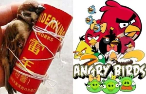 Zagrali w Angry Birds używając wróbli i petard