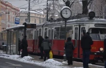 Polowanie na krakowskiego "kanara" w sieci