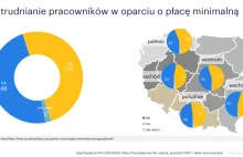 Niemal w co drugiej polskiej firmie płaci się pensję minimalną
