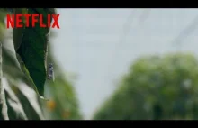 Czarne lustro | Wiadomości | Netflix