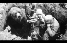 The Heart-Melting Story Of Wojtek, The Soldier Bear