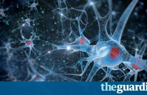 Przełom: Naukowcy wynaleźli implant do mózgu wydłużający życie