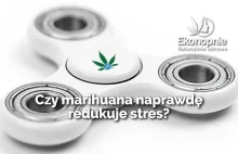 Czy marihuana naprawdę redukuje stres?