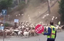 Antypożarowe kozy