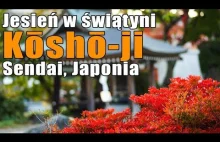 JESIEŃ w ŚWIĄTYNI KOSHO-JI | Sendai, Japonia