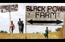Zimbabwe: Farmy odebrane białym farmerom upadły - The New Observer