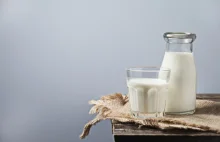 Czy mleko klaczy może zastąpić mleko krowie w diecie człowieka? -...