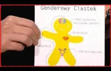 Czym Jest Ideologia Gender?