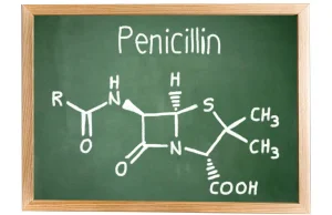 Penicylinę zawdzięczamy pleśni!