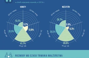 Powody rozwodu Polaków, czyli kto kogo zdradza [infografika]