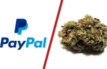 PayPal zablokował nam konto i środki, bo sprzedajemy legalne kwiaty konopi CBD