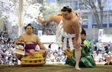 Sumo sport narodowy Japonii