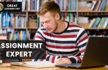 Assignment Expert| Assignment Experts in USA