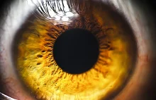 Ludzkie oko