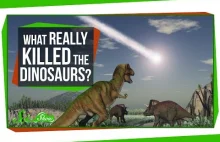 Co naprawdę zabiło dinozaury?