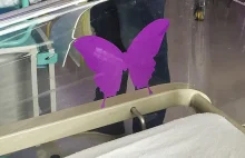 Fioletowy motylek - czy wiesz co oznacza?