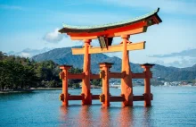 Podążając drogą bóstw – shintoizm w kulturze i historii Japonii