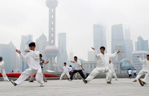 Style Tai Chi - Szkoła Tai Chi