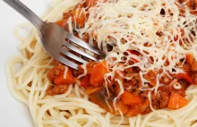Kościół Latającego Potwora Spaghetti powinien zostać zarejestrowany
