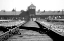 "Po obchodach wyzwolenia Auschwitz w Jerozolimie odjęło nam mowę".