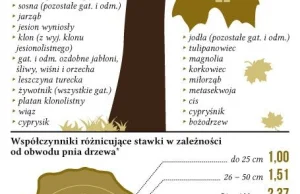 Nielegalne wycięcie drzewa to kara sięgająca nawet kilku milionów złotych