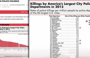 Mapping Police Violence: New Study Shows Cops Have Killed At Least 1,152...