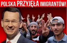 PiS ukradkiem wspiera masową imigrację do Polski « Wolne Media