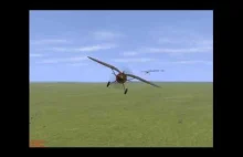 Spotkanie PZL P-11 i Fieseler Fi 156 Storch