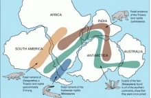 Gondwana: zanim powstał Atlantyk i Ocean Indyjski