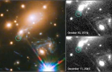 Supernowa złapana na gorącym uczynku przez Teleskop Hubble'a