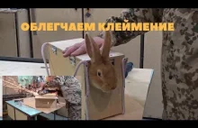 Pudełko do znakowania królików