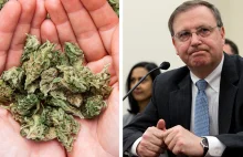 DEA aprobuje badania ws. leczniczego zastosowania marihuany