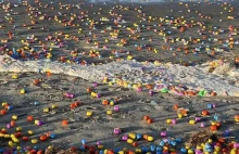 W wyniku sztormu morze wyrzuciło na brzeg tysiące plastikowych jajek