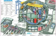 Przekroje reaktorów atomowych