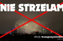 Nie Strzelam w Sylwestra