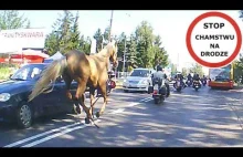 Koń atakuje motocyklistkę