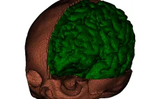 PWr opracowało model głowy dwulatka wykorzystywany w symulacjach zderzeń
