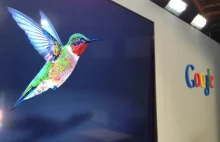 Google zmienia algorytm wyszukiwania - Hummingbird