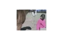 Dziewczynka i koń...