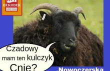 .Nowoczesny kulczyk - blog stopfalszerzom