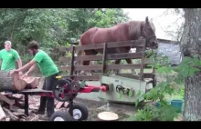 Rąbanie drewna maszyną o mocy jednego konia