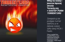 Torrenty.org wciąż niedostępne. Informacje o powrocie serwisu to próba...